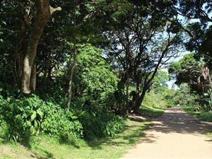 1296 m² Land available in Leisure Bay