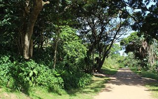 1296 m² Land available in Leisure Bay
