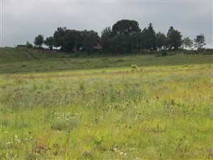 2 ha Farm in Hartzenbergfontein