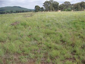 2 ha Farm in Hartzenbergfontein