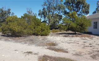 375 m² Land available in Shelley Point