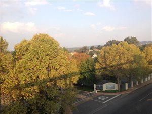 1 Bed Apartment in Illovo