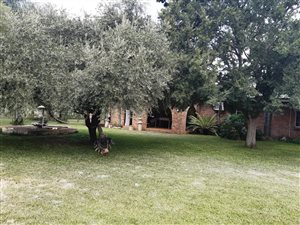 403 ha Farm in Marblehall
