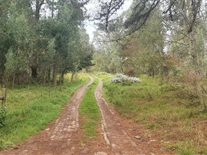 14 ha Land available in Harkerville