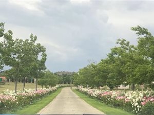 4 Bed House in Blue Saddle Ranches