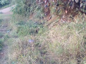 1452 m² Land available in Mariannhill Park