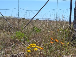 2 ha Land available in Long Acres