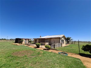 8.6 ha Smallholding in Bainsvlei