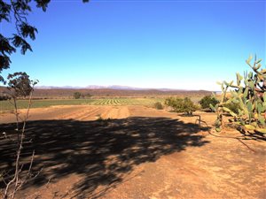 4 m² Farm in Oudtshoorn