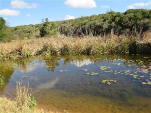 165 ha Farm in Bathurst and Surrounds