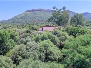 1.2 ha Farm in Syferfontein