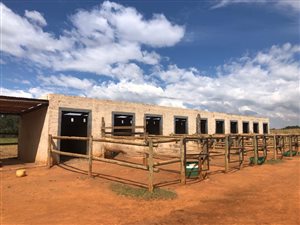 2.2 ha Farm in Delmas