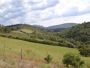 15.8 ha Farm in Mossel Bay Central