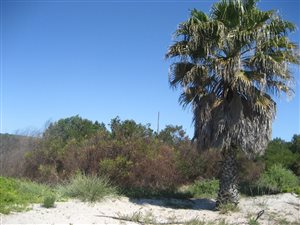 756 m² Land available in Golden Mile