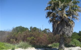 756 m² Land available in Golden Mile