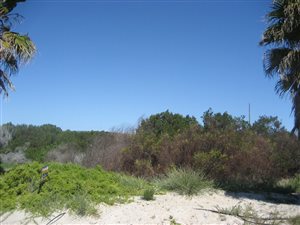 756 m² Land available in Golden Mile