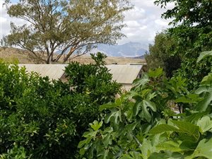 1821 m² Farm in Vanwyksdorp