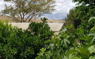 1821 ha Farm in Vanwyksdorp
