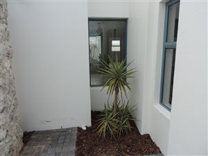3 Bed House in Blue Lagoon