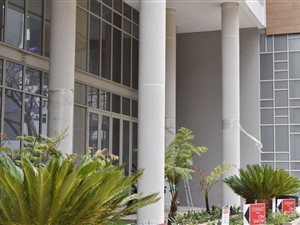 1 Bed Apartment in Rosebank