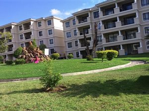 1 Bed Apartment in Noordwyk