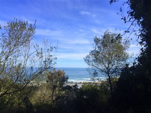 821 m² Land available in Hoekwil