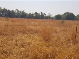 4 m² Farm in Waterkloof