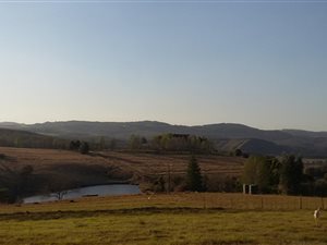 19 ha Farm in Howick