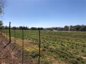 315 ha Farm in Groot Marico