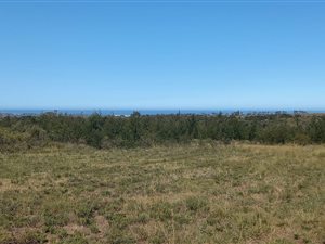10 ha Farm in Kabeljous