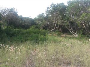 1306 m² Land available in Hersham
