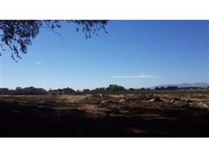 9 ha Farm in Philadelphia