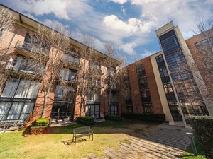 2 Bed Apartment in Melrose North