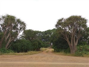 214.1 ha Farm in Bela-Bela (Warmbaths)