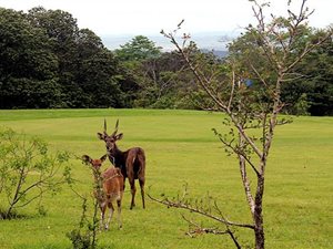 1444 m² Land available in Eshowe