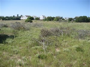 600 m² Land available in Golden Mile