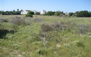 600 m² Land available in Golden Mile