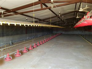 22.3 ha Farm in Carolina