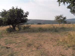 241 ha Farm in Stanger