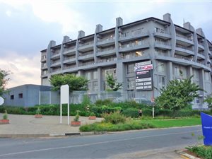 1 Bed Apartment in Fairmount