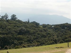 6 ha Farm in The Crags