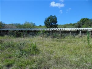 14.7 ha Farm in Humansdorp