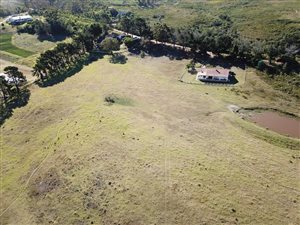 Farm in Plettenberg Bay