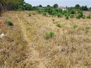2855 m² Land available in Louis Trichardt