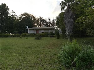 285 ha Farm in Dullstroom