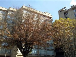 2 Bed Apartment in Benoni Central