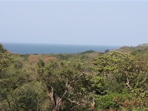 3847 m² Land available in Umtentweni