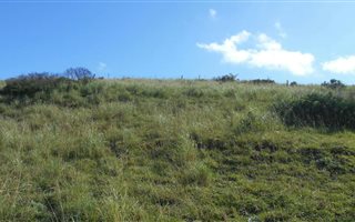 999 m² Land available in Morgans Bay