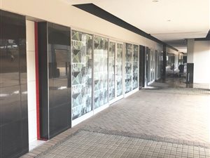 204 m² Commercial space in Weltevreden Park