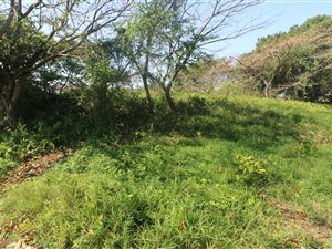 813 m² Land available in Princes Grant Golf Estate